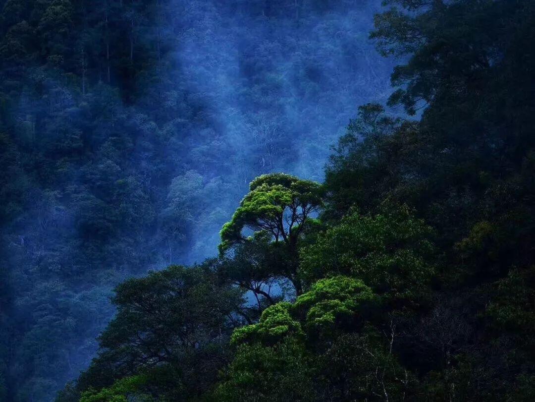 公主烹饪蛋糕